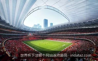 深度解析：世界杯下注高返点背后的计算公式与流水陷阱